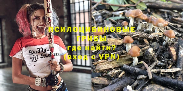 ГАЛЛЮЦИНОГЕННЫЕ ГРИБЫ Абинск