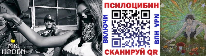 наркотики  Оренбург  Псилоцибиновые грибы MAGIC MUSHROOMS 